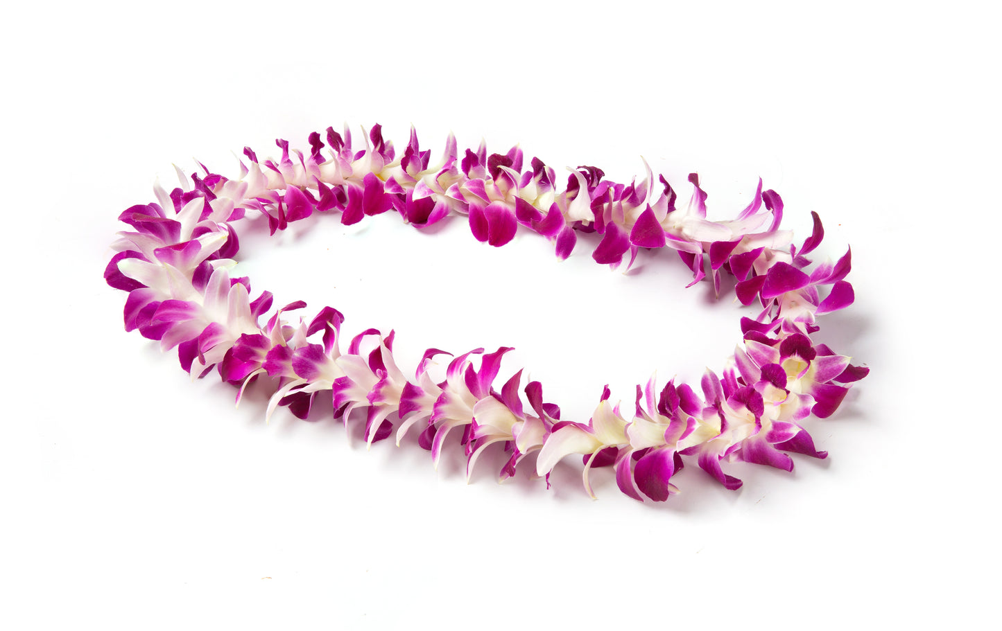 Purple Orchid Lei
