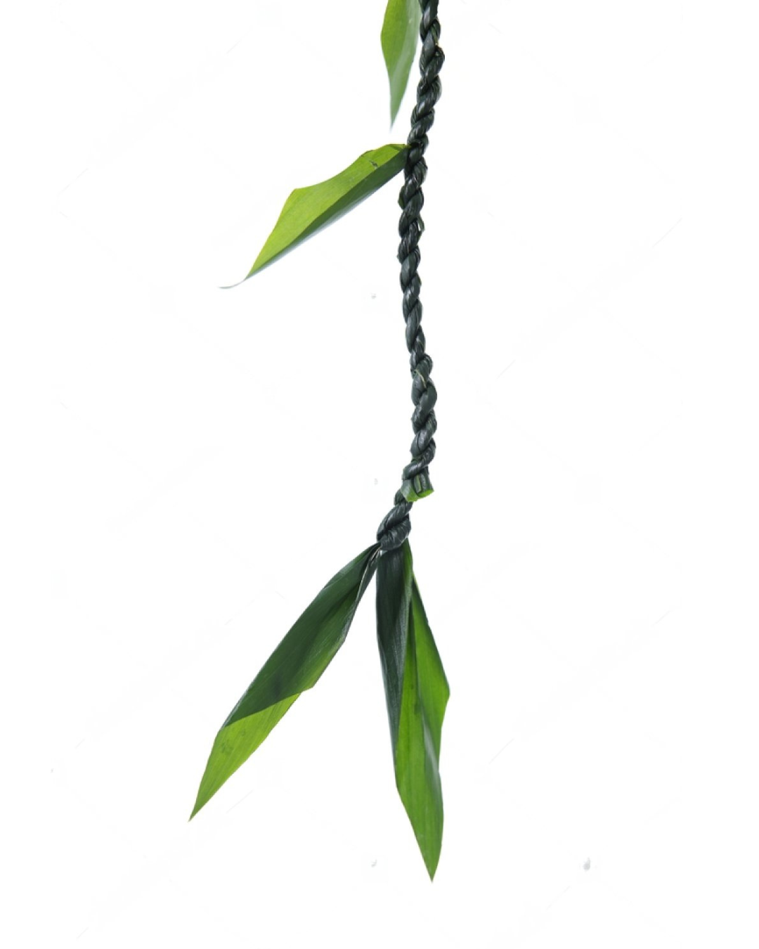 Ti Leaf Lei