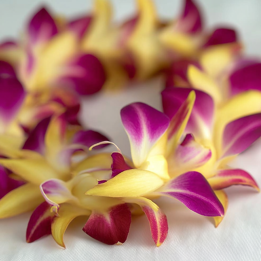 Tinted Yellow on Purple Orchid Lei